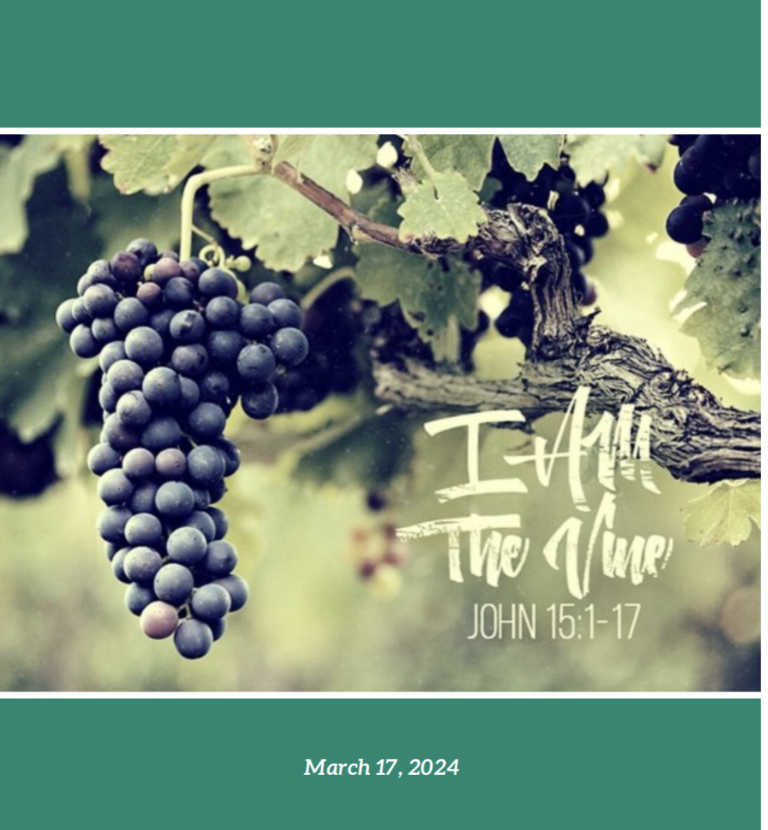I AM the True Vine